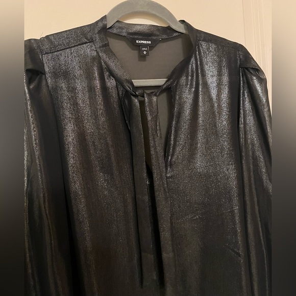 Shiny Sheer Top - Picture 3 of 3